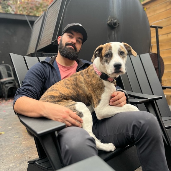 Meet your Posher, Sam - Picture 1 of 1